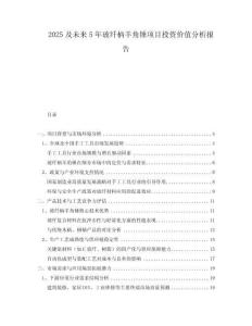 2025及未來5年玻纖柄羊角錘項目投資價值分析報告