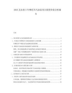 2025及未来5年摩托车汽油泵项目投资价值分析报告