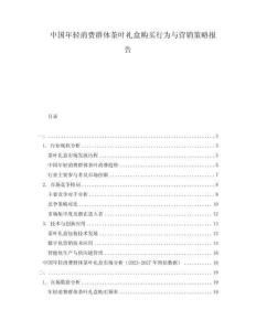 中國(guó)年輕消費(fèi)群體茶葉禮盒購(gòu)買(mǎi)行為與營(yíng)銷(xiāo)策略報(bào)告
