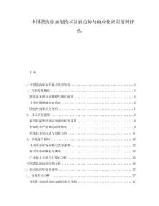 中國(guó)漂洗添加劑技術(shù)發(fā)展趨勢(shì)與商業(yè)化應(yīng)用前景評(píng)估