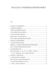 2025及未來5年多股軟線項目投資價值分析報告