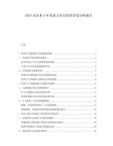 2025及未來5年米黃玉項目投資價值分析報告