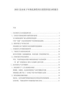 2025及未來5年熱軋鋼帶項目投資價值分析報告