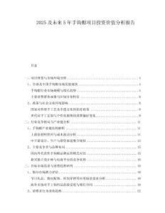 2025及未來5年手鉤帽項目投資價值分析報告