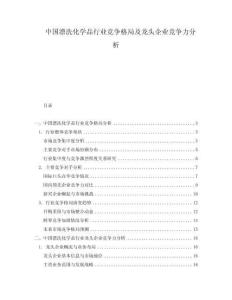 中國漂洗化學(xué)品行業(yè)競爭格局及龍頭企業(yè)競爭力分析