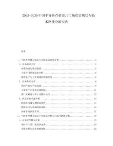 2025-2030中國半導體存儲芯片市場供需現(xiàn)狀與技術路線分析報告