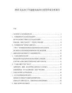 2025及未來5年超能電池項(xiàng)目投資價(jià)值分析報(bào)告
