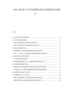 2025及未來5年自粘性搭扣帶項目投資價值分析報告