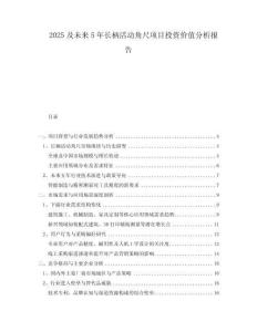 2025及未來(lái)5年長(zhǎng)柄活動(dòng)角尺項(xiàng)目投資價(jià)值分析報(bào)告