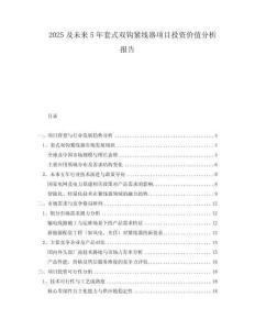 2025及未來5年套式雙鉤緊線器項目投資價值分析報告