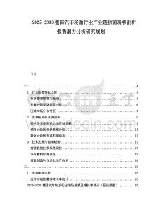 2025-2030德國汽車輪胎行業(yè)產(chǎn)業(yè)鏈供需現(xiàn)狀剖析投資潛力分析研究規(guī)劃
