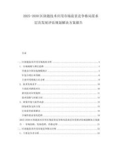 2025-2030區(qū)塊鏈技術(shù)應(yīng)用市場前景競爭格局需求層次發(fā)展評估規(guī)劃解決方案報告