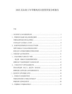 2025及未來5年草帽雞項目投資價值分析報告