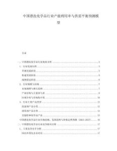 中國漂洗化學(xué)品行業(yè)產(chǎn)能利用率與供需平衡預(yù)測模型