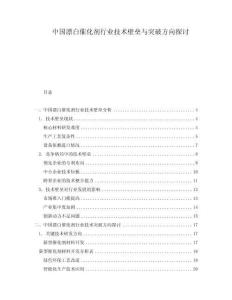 中國漂白催化劑行業(yè)技術(shù)壁壘與突破方向探討