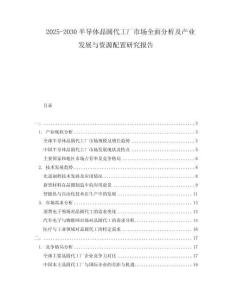 2025-2030半導(dǎo)體晶圓代工廠市場全面分析及產(chǎn)業(yè)發(fā)展與資源配置研究報告