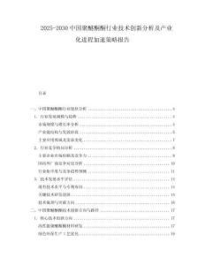 2025-2030中國聚醚酮酮行業(yè)技術(shù)創(chuàng)新分析及產(chǎn)業(yè)化進(jìn)程加速策略報告