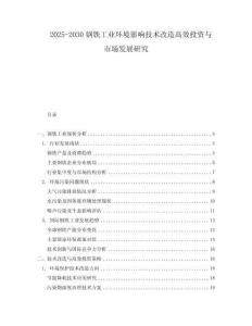 2025-2030鋼鐵工業(yè)環(huán)境影響技術(shù)改造高效投資與市場(chǎng)發(fā)展研究