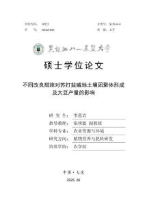 不同改良措施对苏打盐碱地土壤团聚体形成及大豆产量的影响