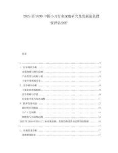 2025至2030中國小刀行業(yè)深度研究及發(fā)展前景投資評估分析