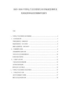 2025-2030中國電子支付系統(tǒng)行業(yè)市場(chǎng)深度調(diào)研及發(fā)展趨勢(shì)和前景預(yù)測(cè)研究報(bào)告