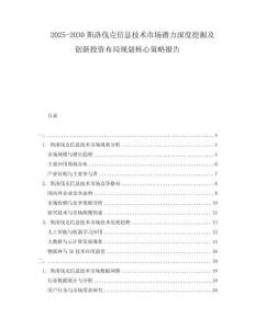 2025-2030斯洛伐克信息技術(shù)市場(chǎng)潛力深度挖掘及創(chuàng)新投資布局規(guī)劃核心策略報(bào)告