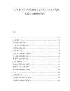 2025至2030中國(guó)加熱睫毛卷發(fā)器行業(yè)深度研究及發(fā)展前景投資評(píng)估分析