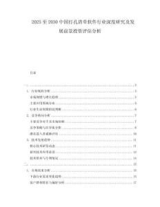 2025至2030中國(guó)打孔清單軟件行業(yè)深度研究及發(fā)展前景投資評(píng)估分析