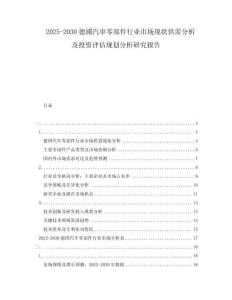 2025-2030德國(guó)汽車(chē)零部件行業(yè)市場(chǎng)現(xiàn)狀供需分析及投資評(píng)估規(guī)劃分析研究報(bào)告