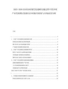 2025-2030農(nóng)業(yè)農(nóng)村現(xiàn)代化戰(zhàn)略實施過程中的鄉(xiāng)村產(chǎn)業(yè)發(fā)展模式創(chuàng)新及鄉(xiāng)村振興政策與市場前景分析