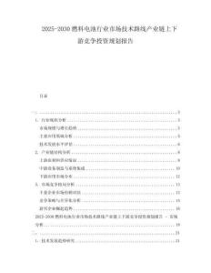 2025-2030燃料電池行業(yè)市場技術(shù)路線產(chǎn)業(yè)鏈上下游競爭投資規(guī)劃報告
