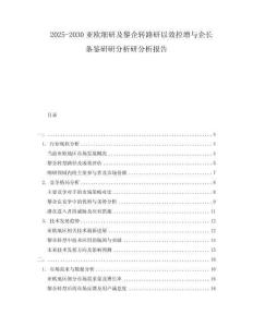 2025-2030亞歐細(xì)研及黎企轉(zhuǎn)路研以效控增與企長(zhǎng)條鑒研研分析研分析報(bào)告