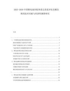 2025-2030中國鋰電池回收體系完善度評估及梯次利用技術突破與經(jīng)濟性測算研究