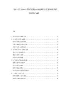 2025至2030中國(guó)唱片行業(yè)深度研究及發(fā)展前景投資評(píng)估分析