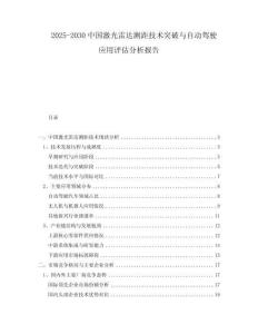 2025-2030中國激光雷達測距技術突破與自動駕駛應用評估分析報告