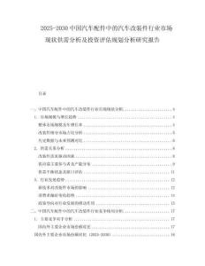 2025-2030中國(guó)汽車配件中的汽車改裝件行業(yè)市場(chǎng)現(xiàn)狀供需分析及投資評(píng)估規(guī)劃分析研究報(bào)告