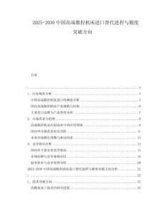 2025-2030中國高端數(shù)控機床進口替代進程與精度突破方向