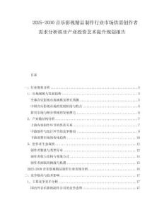 2025-2030音樂影視精品制作行業(yè)市場供需創(chuàng)作者需求分析娛樂產(chǎn)業(yè)投資藝術(shù)提升規(guī)劃報(bào)告