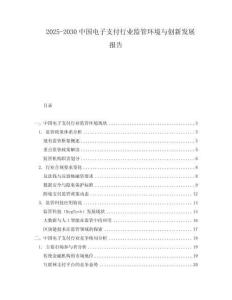 2025-2030中國電子支付行業(yè)監(jiān)管環(huán)境與創(chuàng)新發(fā)展報(bào)告