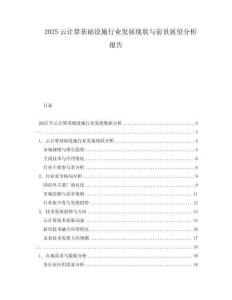2025云計(jì)算基礎(chǔ)設(shè)施行業(yè)發(fā)展現(xiàn)狀與前景展望分析報(bào)告