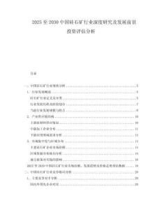 2025至2030中國(guó)硅石礦行業(yè)深度研究及發(fā)展前景投資評(píng)估分析
