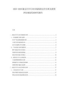 2025-2030捷克汽車行業(yè)市場現(xiàn)狀競爭分析及投資評估規(guī)劃發(fā)展研究報告