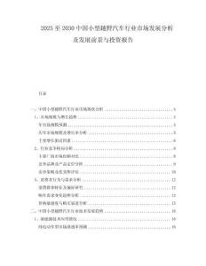 2025至2030中國小型越野汽車行業(yè)市場發(fā)展分析及發(fā)展前景與投資報告