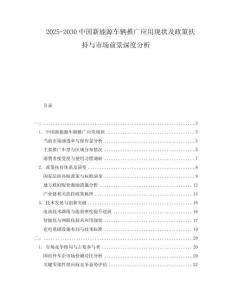 2025-2030中國新能源車輛推廣應(yīng)用現(xiàn)狀及政策扶持與市場前景深度分析
