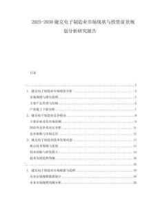 2025-2030捷克電子制造業(yè)市場現(xiàn)狀與投資前景規(guī)劃分析研究報告