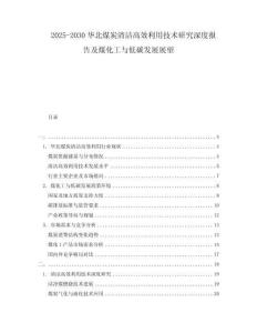2025-2030華北煤炭清潔高效利用技術(shù)研究深度報(bào)告及煤化工與低碳發(fā)展展望