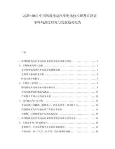 2025-2030中國智能電動汽車電池技術研發(fā)市場競爭格局深度研究與發(fā)展趨勢報告