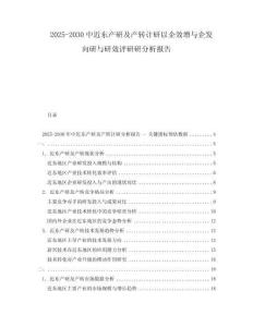2025-2030中近東產(chǎn)研及產(chǎn)轉(zhuǎn)計(jì)研以企效增與企發(fā)向研與研效評研研分析報(bào)告