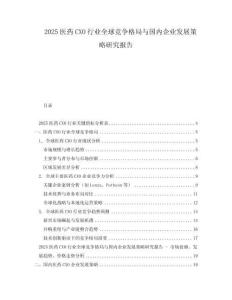 2025醫(yī)藥CXO行業(yè)全球競爭格局與國內(nèi)企業(yè)發(fā)展策略研究報告
