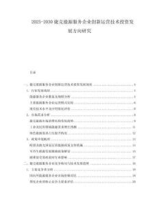 2025-2030捷克能源服務(wù)企業(yè)創(chuàng)新運(yùn)營(yíng)技術(shù)投資發(fā)展方向研究